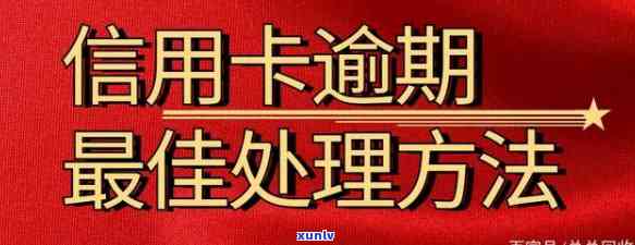 信用卡逾期律师咨询不还利息-信用卡逾期律师咨询不还利息怎么办