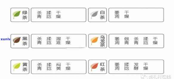 探究餐馆茶水：种类、茶叶全揭秘