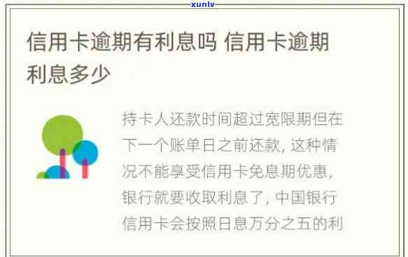 信用卡逾期10万一个月利息-信用卡逾期10万一个月利息是多少