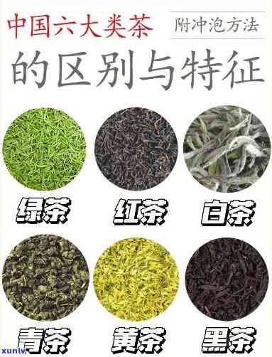 适合泡大壶茶的茶叶：种类与选择全解析