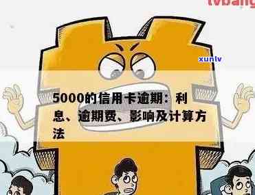 信用卡500块钱逾期一天，忘记还款？信用卡逾期一天需支付500元滞纳金！