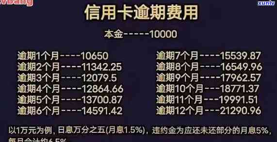 建设银行逾期分期期限全面解析：最长可达60期