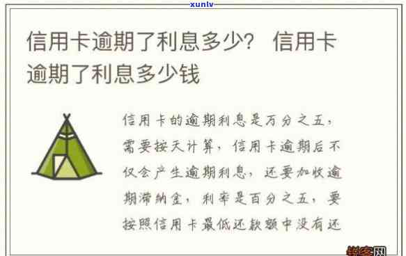 信用卡逾期五千一天多少钱利息啊，计算信用卡逾期一天的利息：五千元的每日费用是多少？