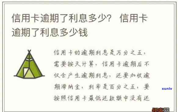 信用卡逾期五千一天多少钱利息-信用卡逾期五千一天多少钱利息啊