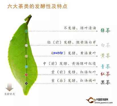 发酵类的茶，探究发酵茶的独特魅力：从茶文化到健益处