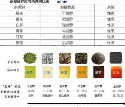 发酵类的茶，探究发酵茶的独特魅力：从茶文化到健益处