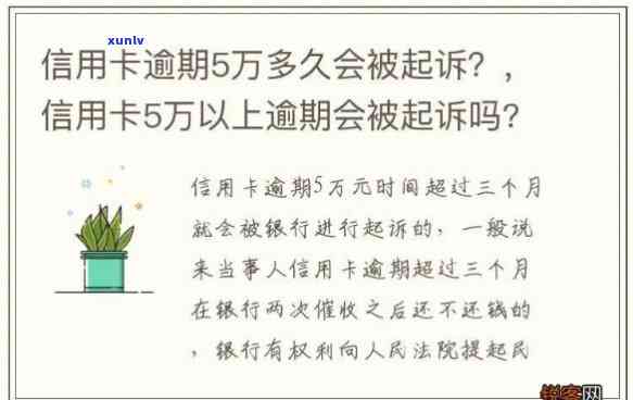 欠五万信用卡逾期一年，利息多少？是不是会被告上法庭？