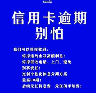 云南老班章：普洱茶的价格、中国之一村及产地详解