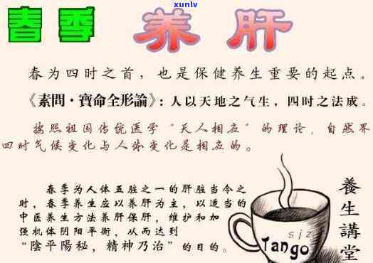 养肝养脾胃的茶，呵护身体双宝：养肝养脾胃的茶饮推荐