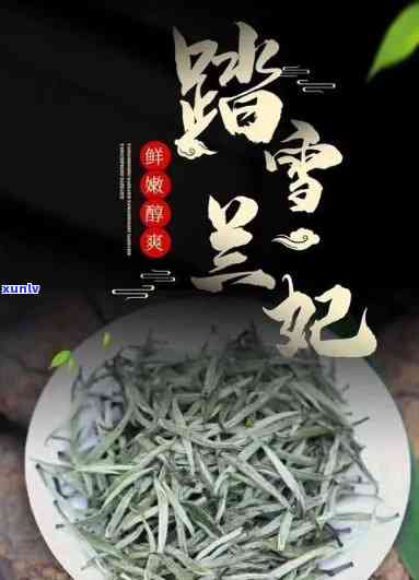 碎银子属于发酵茶吗还是生茶，碎银子：是发酵茶还是生茶？