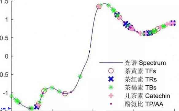 翠意盎然：翡翠立体葫芦吊坠的灵动之美