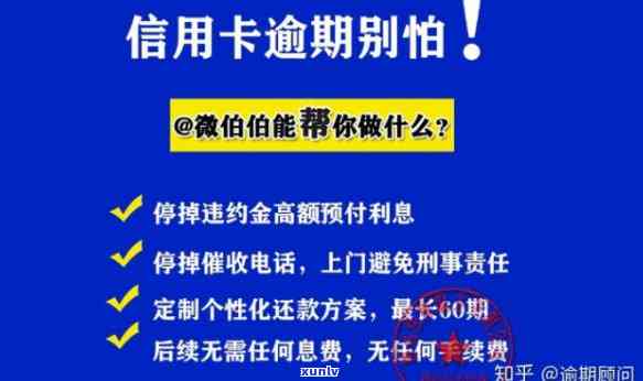 全球翡翠项链价格一览：详细排名表与购买指南，助你轻松挑选心仪之物