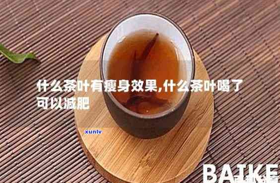 减肚子的茶是什么茶叶？详解其成分与功效