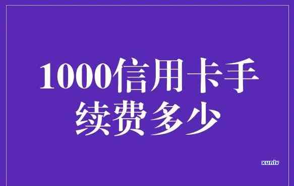 信用卡100000元一年手续费，熟悉信用卡手续费：一年100000元的费用是多少？