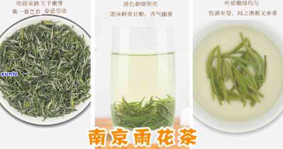 南京雨花茶是什么茶树品种，探秘南京雨花茶：揭秘其茶树品种