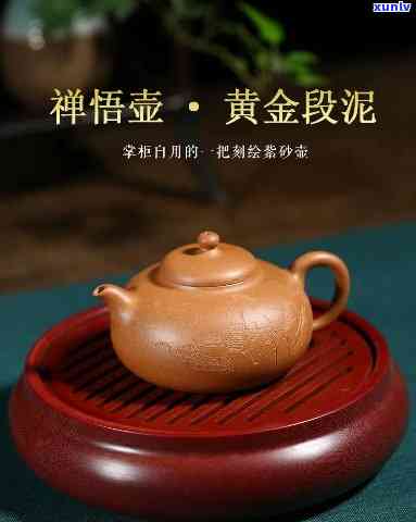 泥壶适合泡什么茶-黄金泥壶适合泡什么茶