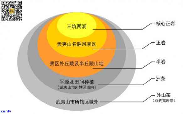 雨山茶场地理环境及茶的意义探究