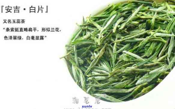 安吉白片茶是什么茶叶，探秘中国名茶：安吉白片茶的起源与特点