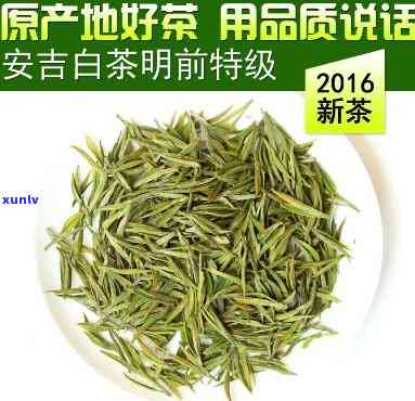 安吉白片茶是什么茶-安吉白片茶是什么茶叶