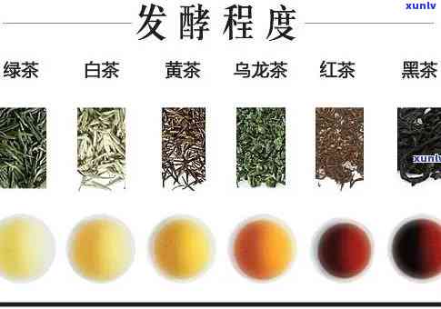 全发酵的茶是什么茶-全发酵的茶是什么茶类