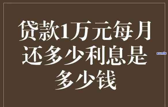 一万元贷款一年要多少利息-一万元贷款一年要多少利息呢