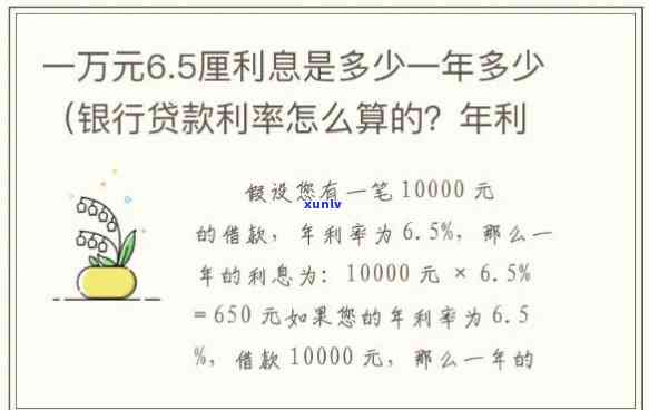 一万块贷款一年利息多少？全解！