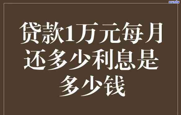 一万元贷款一年有多少利息-一万元贷款一年有多少利息啊