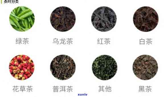 茶中爱马仕是什么茶叶？探索其独特的品种与魅力