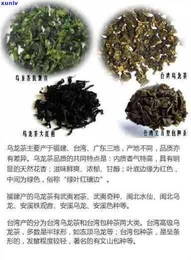 茶中爱马仕是什么茶叶？探索其独特的品种与魅力