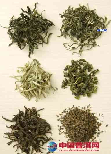 能去湿的茶：揭秘效果的茶叶品种