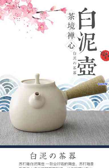 白泥壶煮什么茶好？专业解答带你找到搭配！