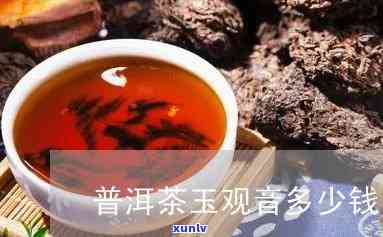 玉观音茶属于什么茶种？详解其类别与特点