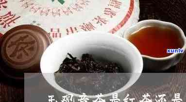 玉观音茶属于什么茶-玉观音茶属于什么茶种类