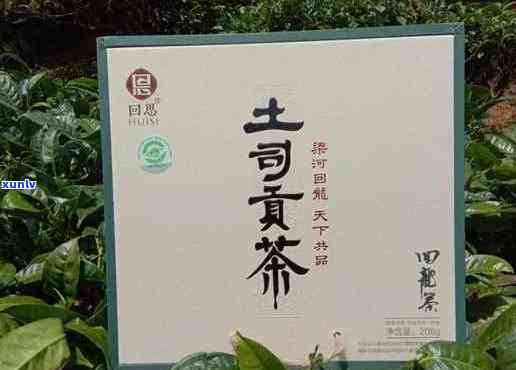 土司贡茶属于什么茶种，揭秘土司贡茶的茶种身份