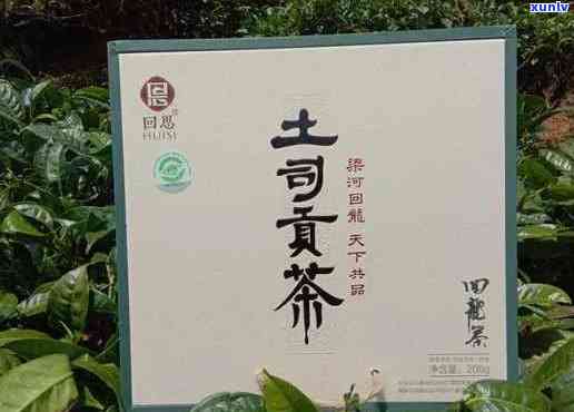 土司贡茶属于什么茶种类？详解其分类与特点