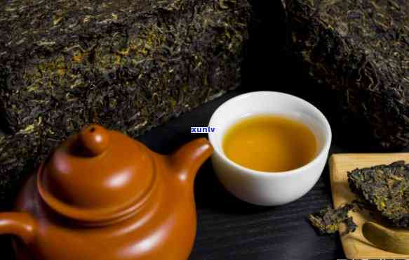 茯茶是不是茯苓茶？探究其本质区别与联系