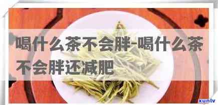 胖子应该喝什么茶好呢，适合胖人士的茶饮推荐，让你轻松享“瘦”