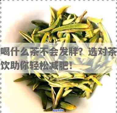 胖子应该喝什么茶好一点？选择适合自己的健饮品