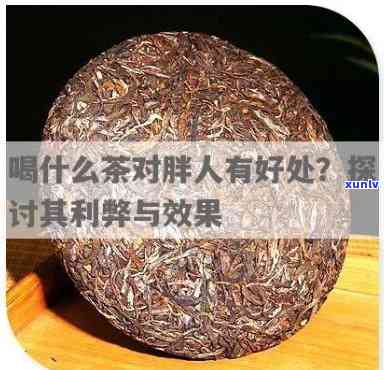 胖子应该喝什么茶好-胖子应该喝什么茶好呢