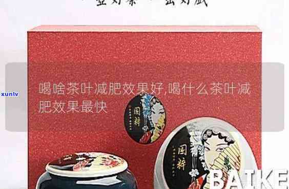 胖子应该喝什么茶好-胖子应该喝什么茶好呢