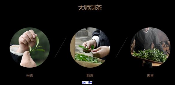 大师茶有什么功效，探索大师茶的神奇功效：从健到精神层面的影响