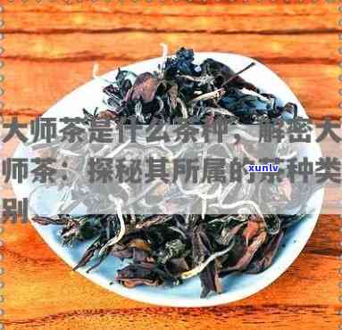 大师茶属于什么茶种-大师茶属于什么茶种图片及介绍