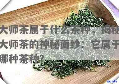 大师茶属于什么茶种-大师茶属于什么茶种图片及介绍