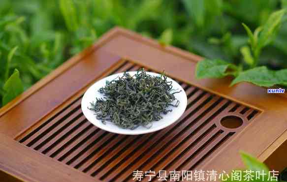 小叶福鼎绿茶，品味清新自然，尝试小叶福鼎绿茶！