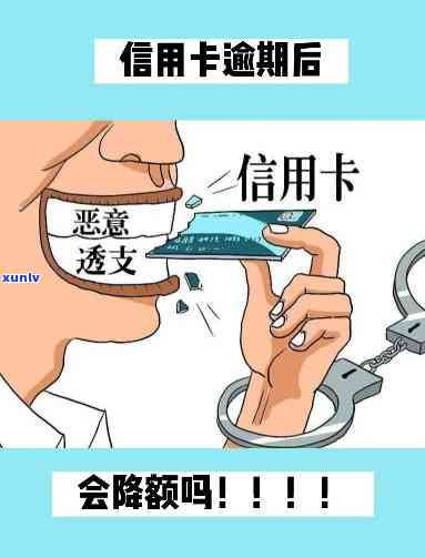 怎样减少逾期信用卡利息？