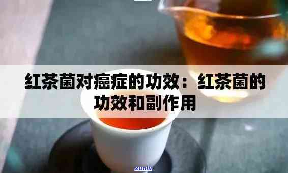 红茶菌多久见效？效果如何？视频解析