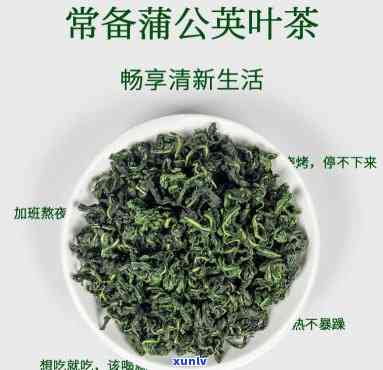 小叶增生喝公英茶真的有效吗？女性适用吗？