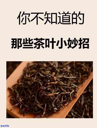 小叶增生喝什么茶好-小叶增生喝什么茶好得快