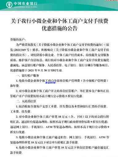 深度解析普洱茶：醇厚口感与香气的完美结合