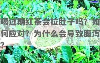 为什么喝红茶会拉稀呢，揭秘：为什么喝红茶会导致腹泻？